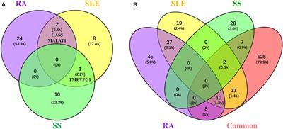 The Role of Long Non-coding RNAs in the Pathogenesis of RA, SLE, and SS